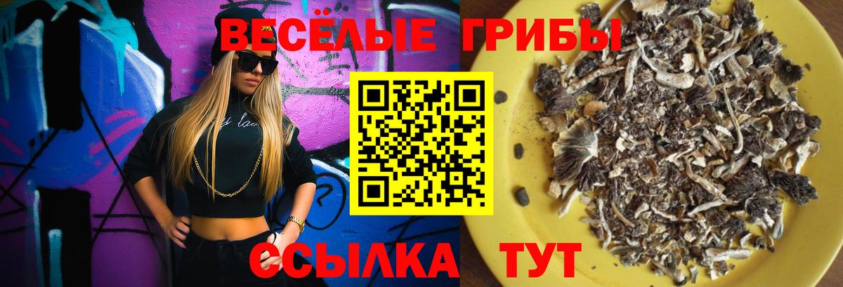 Псилоцибиновые грибы GOLDEN TEACHER  Галлюциногенные грибы MAGIC MUSHROOMS  Киселёвск  Вход с VPN 